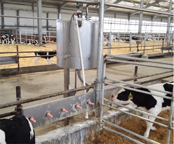 犊牛自动喂奶系统---小牛的自助餐